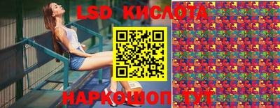 гашик Бийск