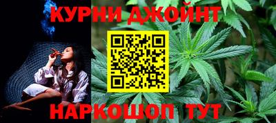 гашик Бийск