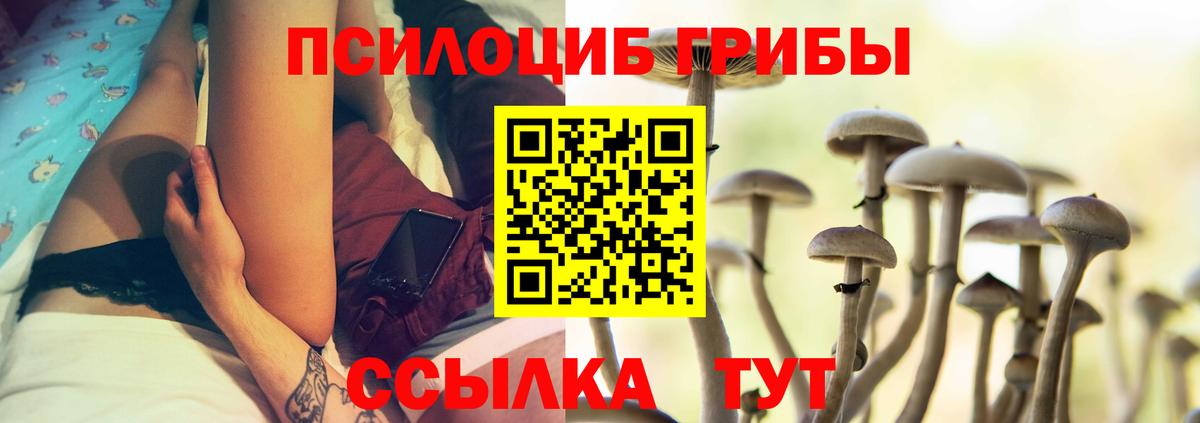 Псилоцибиновые грибы Psilocybe  Вход с VPN  Галлюциногенные грибы MAGIC MUSHROOMS  Кимовск 